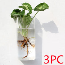 Load image into Gallery viewer, Fashion Wall Hanging Glass Flower Vase Terrarium Wall Fish Tank Aquarium Container Flower Planter Pots Home Garden Decoration
