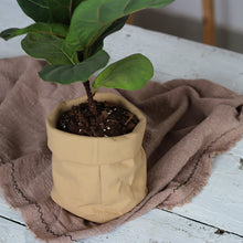 Load image into Gallery viewer, Cement Cloth Bag Flowerpot Imitation Leather Bag Simple Nordic Modern Creative Home Ins Style Green Plant Potted Pot