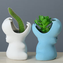 Load image into Gallery viewer, Gardening creative succulent flower pot