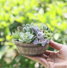 Load image into Gallery viewer, Wooden Basin Resin Ornaments Micro Landscape Garden Decoration