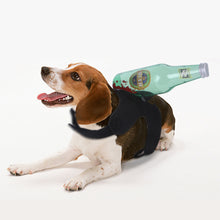 Load image into Gallery viewer, Creative Halloween Tricks For Cats And Dogs