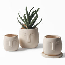 Load image into Gallery viewer, DIY Hand Painted Creative Breathable Pot Succulent Ceramic Flower Pot
