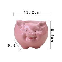 Load image into Gallery viewer, Simple Nordic Cartoon Animal Succulent Flower Pot Ceramic Decorative Ornaments