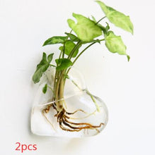 Load image into Gallery viewer, Fashion Wall Hanging Glass Flower Vase Terrarium Wall Fish Tank Aquarium Container Flower Planter Pots Home Garden Decoration