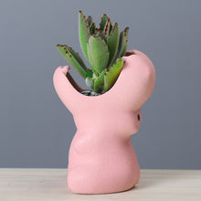 Load image into Gallery viewer, Gardening creative succulent flower pot