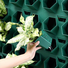 Load image into Gallery viewer, Planting Flower Pots For Greening Landscaping Plants