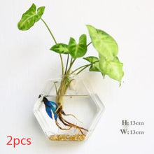 Load image into Gallery viewer, Fashion Wall Hanging Glass Flower Vase Terrarium Wall Fish Tank Aquarium Container Flower Planter Pots Home Garden Decoration