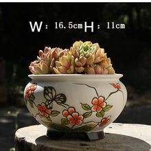Load image into Gallery viewer, Hand-painted Large-caliber Succulent Flower Pot Coarse Ceramic Breathable
