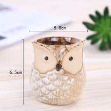 Load image into Gallery viewer, Owl Animal Thumb Flower Pot Personality Ceramic Craft Office Home Decoration