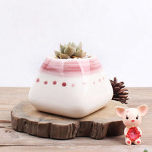 Load image into Gallery viewer, Creative Cute Succulent Flower Pot Handmade