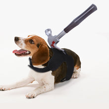 Load image into Gallery viewer, Creative Halloween Tricks For Cats And Dogs