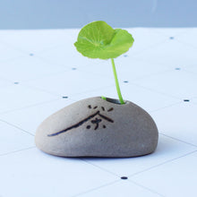 Load image into Gallery viewer, Office Desktop Imitated Stone Writing Thumb Floret Home Ceramic Succulent Flower Pot