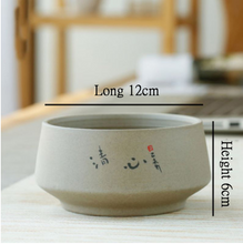 Load image into Gallery viewer, Succulent Flower Pot With Tray Ceramic Medium And Large
