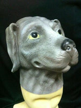 Load image into Gallery viewer, Dog Head Mask Akita Inu Single Mask
