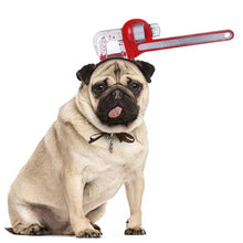 Load image into Gallery viewer, Tricky Props Pet Halloween Headdress Hat