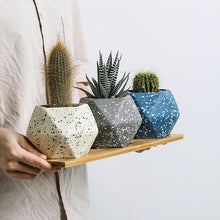 Load image into Gallery viewer, Nordic Succulent Flower Pot Ceramic Tray Creative Personality
