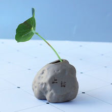 Load image into Gallery viewer, Office Desktop Imitated Stone Writing Thumb Floret Home Ceramic Succulent Flower Pot
