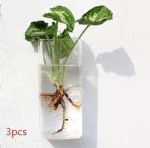 Load image into Gallery viewer, Fashion Wall Hanging Glass Flower Vase Terrarium Wall Fish Tank Aquarium Container Flower Planter Pots Home Garden Decoration
