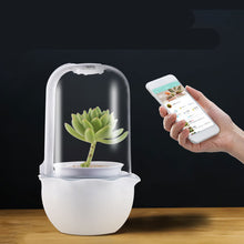 Load image into Gallery viewer, Cute Desktop Simple Creative Smart Plant Flower Pot
