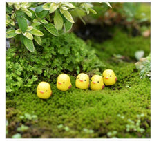 Load image into Gallery viewer, Moss Micro Landscape Succulent Creative Decorations
