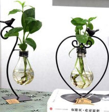 Load image into Gallery viewer, Hydroponic Plant Vessel Indoor Green Plants Glass Planter Pot with Steel Stand
