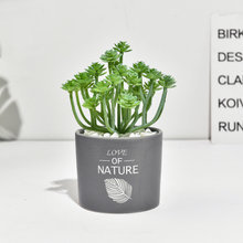 Load image into Gallery viewer, Succulent simulation plant small potted cactus ball
