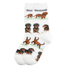 Load image into Gallery viewer, New cute animal collection socks trend
