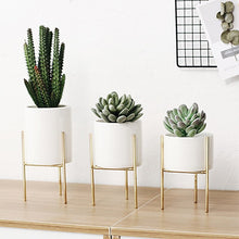 Load image into Gallery viewer, Plant Succulent Flowerpot
