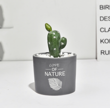 Load image into Gallery viewer, Succulent simulation plant small potted cactus ball
