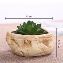 Load image into Gallery viewer, Mini Stone Succulent Plant Potted Kiln Becomes Creative Ceramic Green Plant Pot

