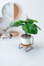 Load image into Gallery viewer, Geometric ceramic green plant pot
