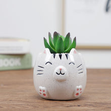 Load image into Gallery viewer, Ceramic flower pot
