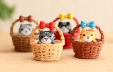 Load image into Gallery viewer, Moss micro landscape jewelry flat bamboo basket kitten ornaments DIY assembly
