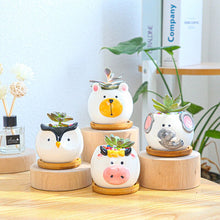 Load image into Gallery viewer, Cartoon animal succulent flower pot
