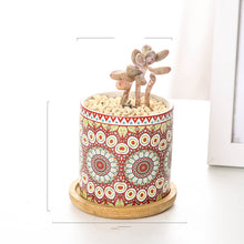 Load image into Gallery viewer, Mandala Succulent Potted Nordic Color Pot
