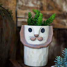 Load image into Gallery viewer, Lovely carnivore flowerpot
