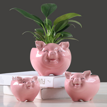 Load image into Gallery viewer, Simple Nordic Cartoon Animal Succulent Flower Pot Ceramic Decorative Ornaments
