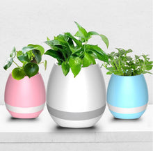 Load image into Gallery viewer, Music Flowerpot

