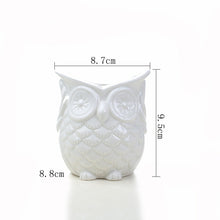 Load image into Gallery viewer, Green plant ceramic flower pot container
