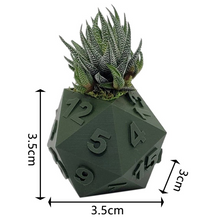 Load image into Gallery viewer, 3D Printed Plant Pot Table Top RPG Dice Succulent Planter Set Home Decoration Multifunction Garden Flower Pot

