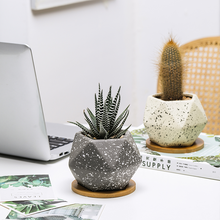 Load image into Gallery viewer, Nordic Succulent Flower Pot Ceramic Tray Creative Personality
