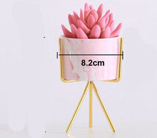 Load image into Gallery viewer, Pink marbled succulent flower pot
