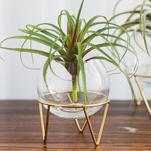 Load image into Gallery viewer, Glass flower pot
