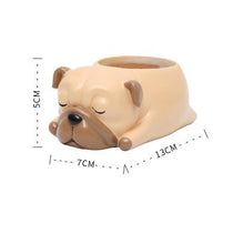 Load image into Gallery viewer, Creative Sleeping Pet Succulent Flower Pot
