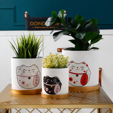 Load image into Gallery viewer, Succulent green plant pots
