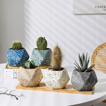 Load image into Gallery viewer, Nordic Succulent Flower Pot Ceramic Tray Creative Personality
