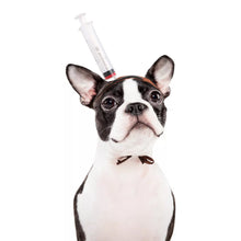 Load image into Gallery viewer, Pet Dog Cats Headdresses Halloween Pet Cat Headgear
