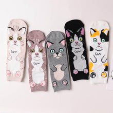 Load image into Gallery viewer, Spring and autumn new cartoon straight socks female adult animal cute female socks cat cotton socks in stockings
