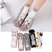 Load image into Gallery viewer, Spring and autumn new cartoon straight socks female adult animal cute female socks cat cotton socks in stockings
