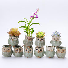 Load image into Gallery viewer, Mini Ceramic Owl Plant Pot Random Design
